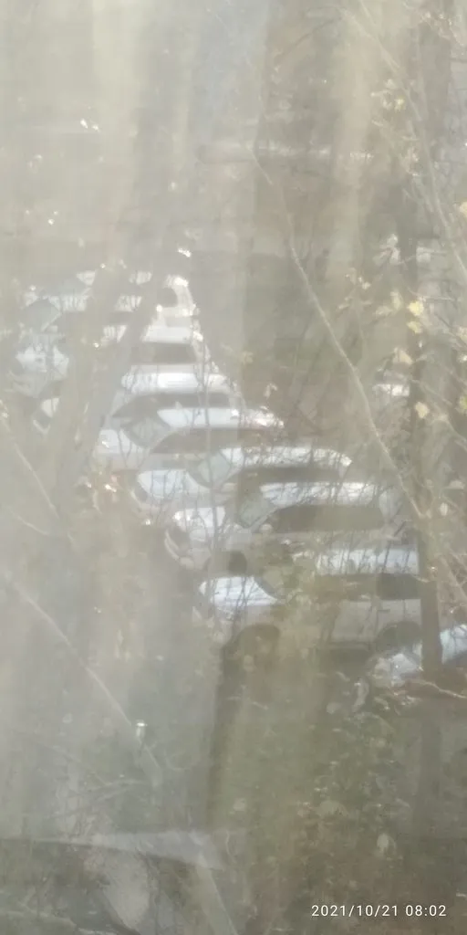 Tapтaлeтки & Ко