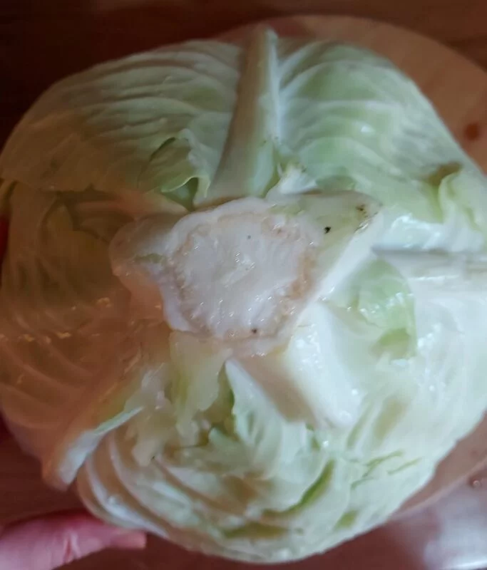 Чайная беседка