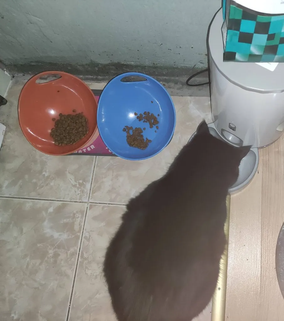 Посмеялся сам - поделись с другом!!!