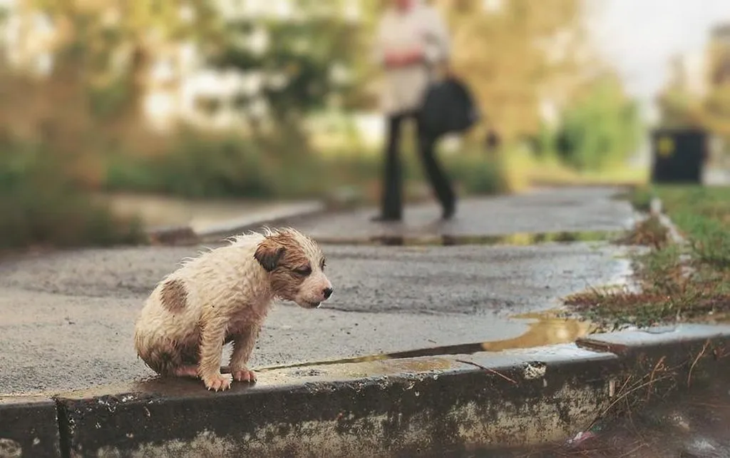 Рассказы для души