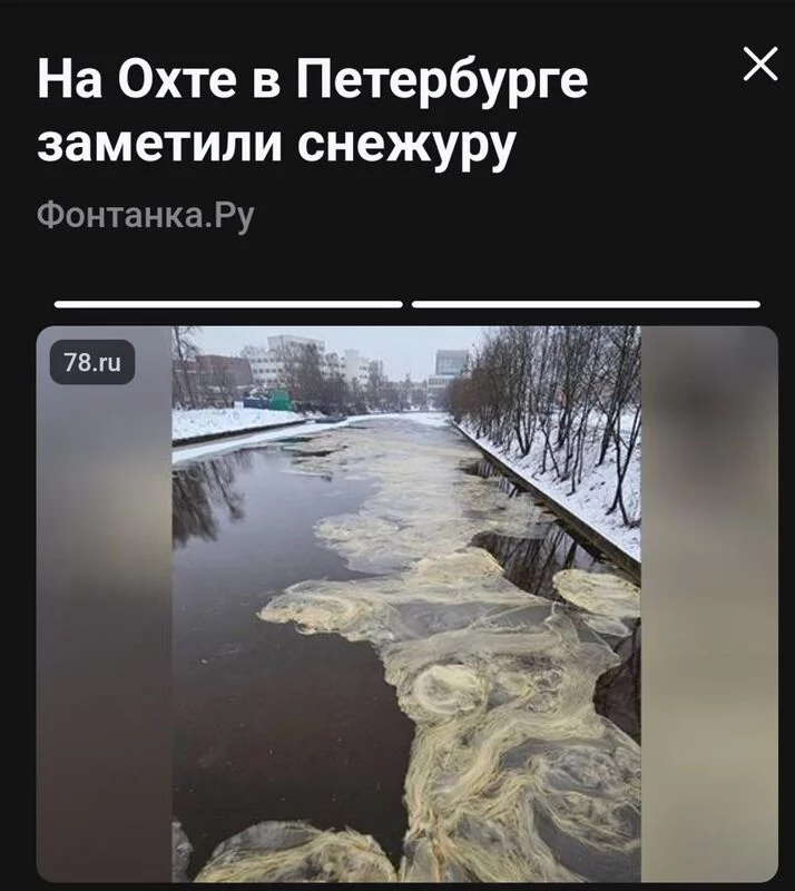 Tapтaлeтки & Ко