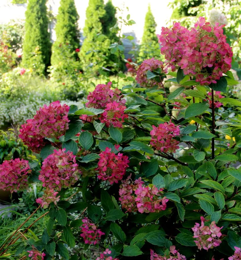 Чайная беседка