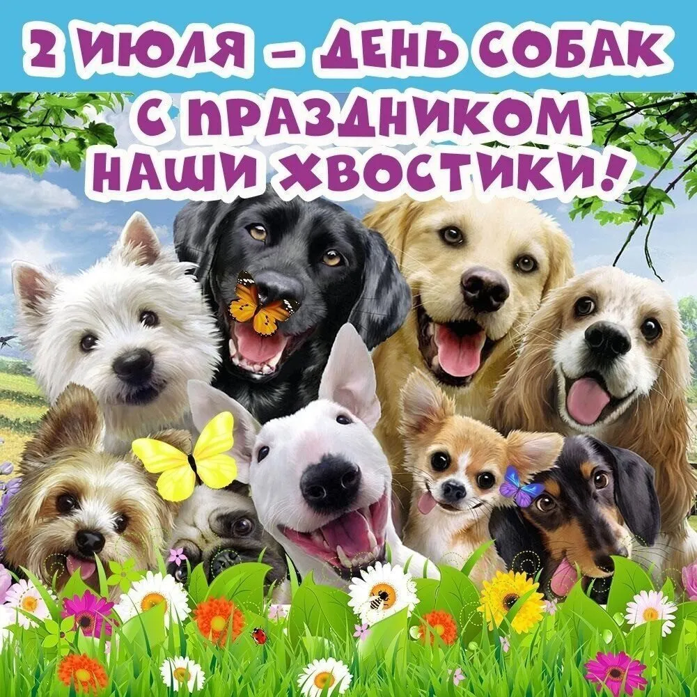 Человек собаке друг!!!