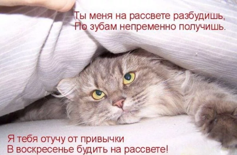 Посмеялся сам - поделись с другом!!!