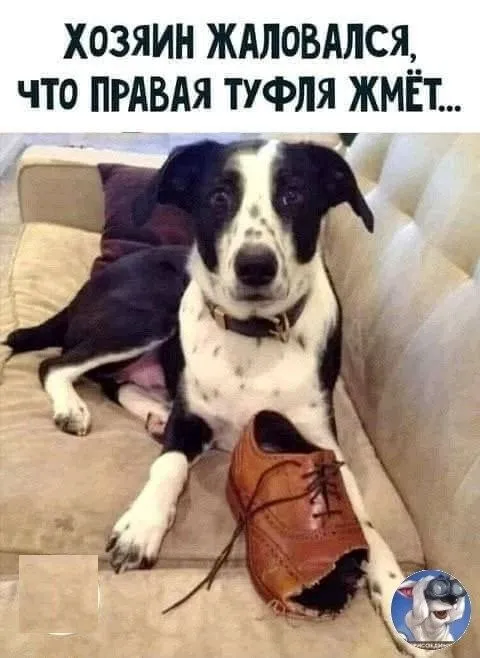 Кафе «У пани Сони»