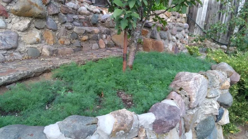 Чайная беседка