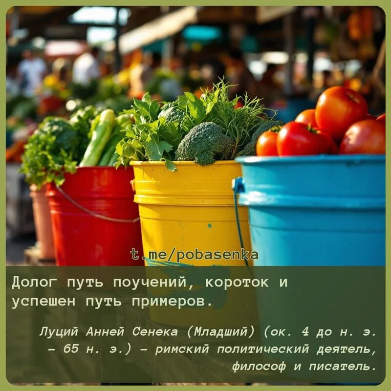 «Долог путь поучений, короток и успешен путь...» height="550" width="550"
