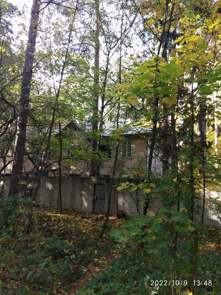 Чайная беседка