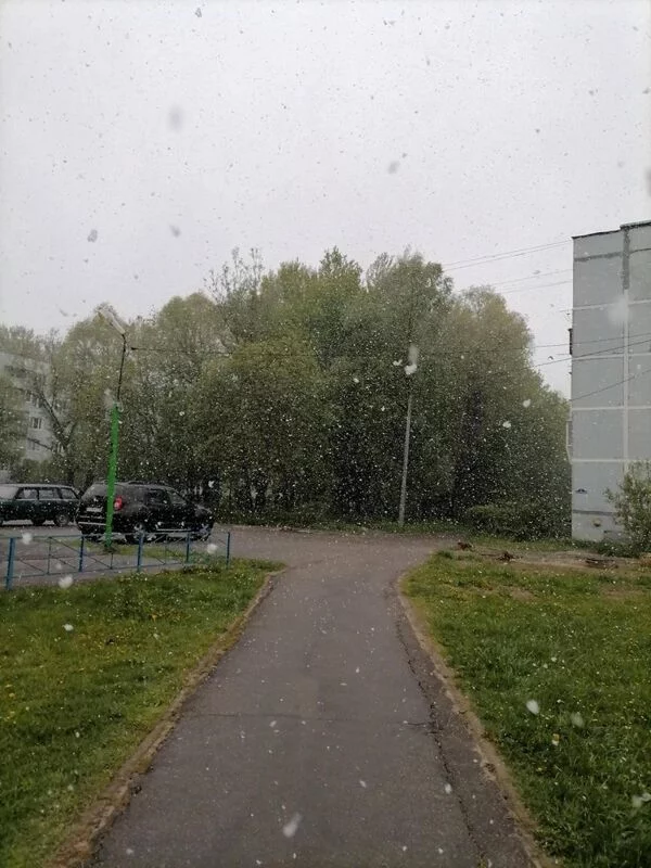 Чайная беседка