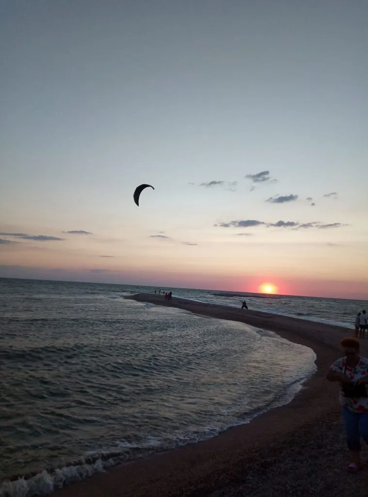 Чайная беседка