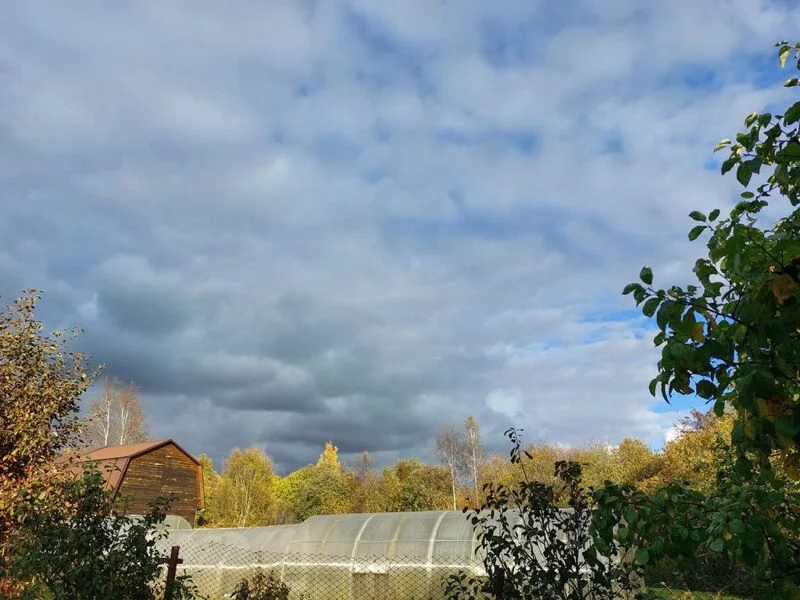 Такое разное небо