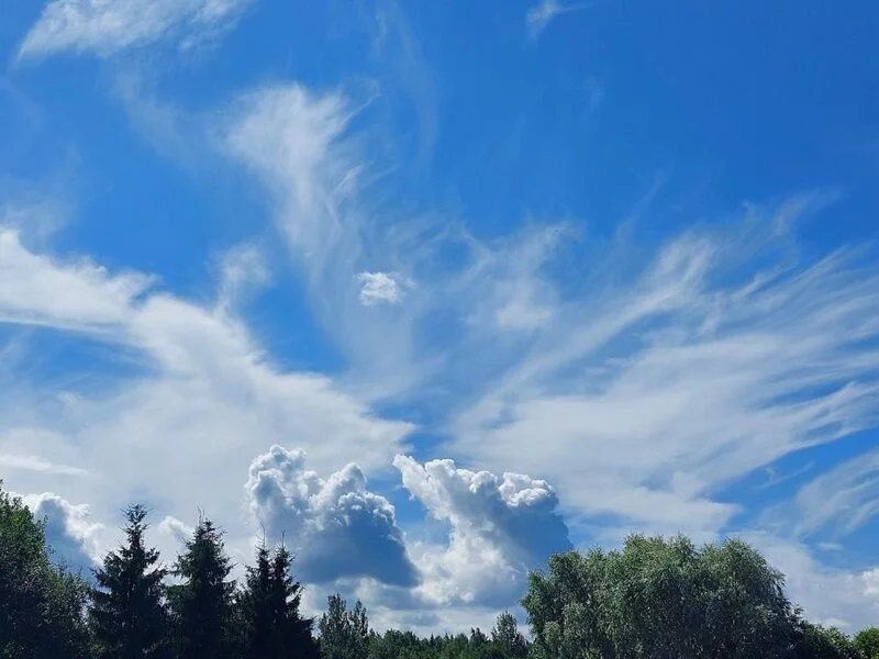 Такое разное небо