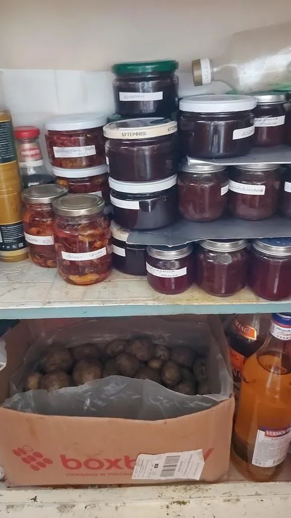 Tapтaлeтки & Ко