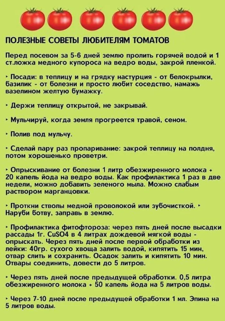 Садово-огородная  инфографика