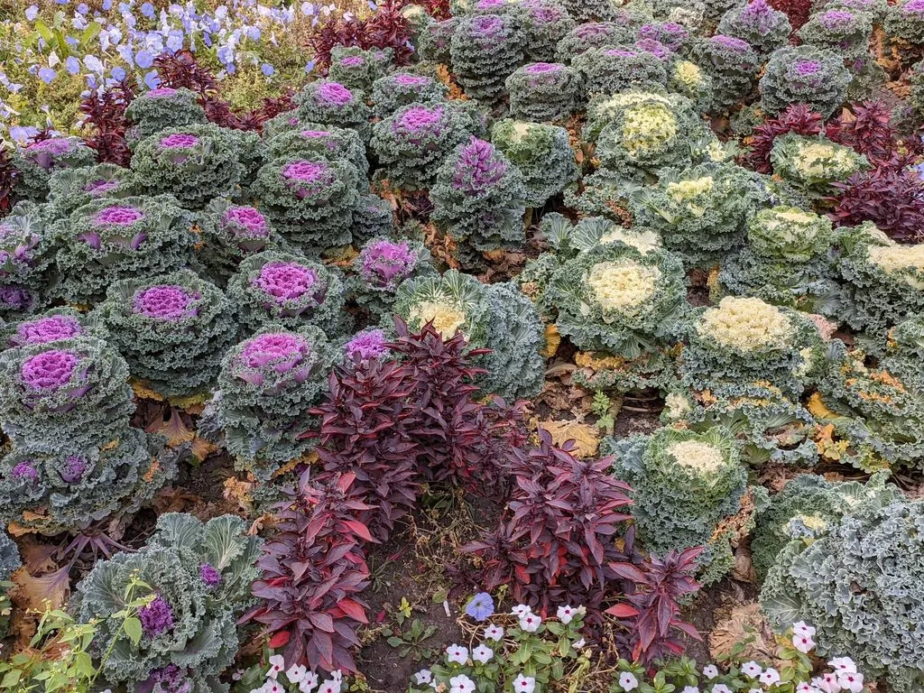 Чайная беседка