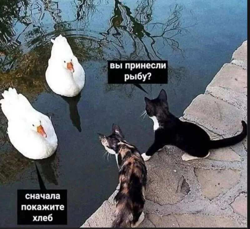 Посмеялся сам - поделись с другом!!!