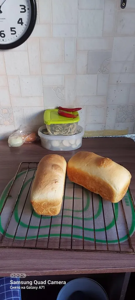 Tapтaлeтки & Ко