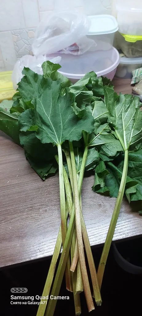 Чайная беседка