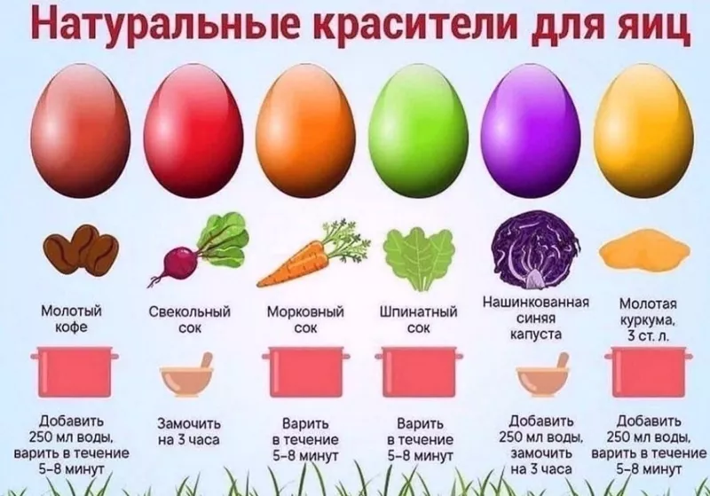 Кулинарная инфографика в рецептах
