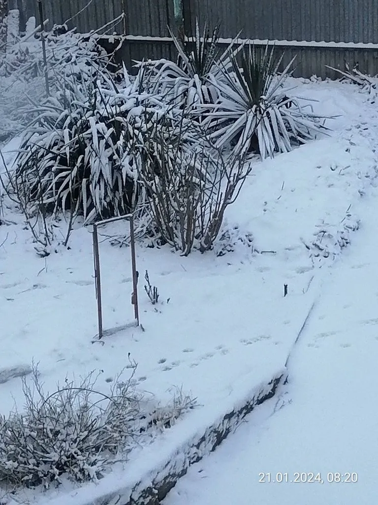 Чайная беседка