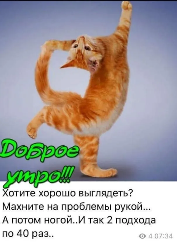 Tapтaлeтки & Ко