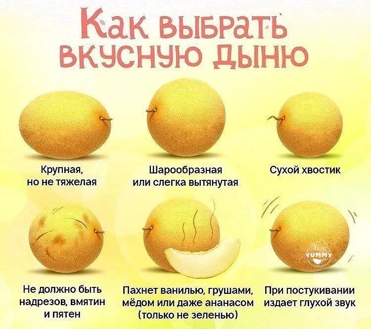 Кулинарная инфографика