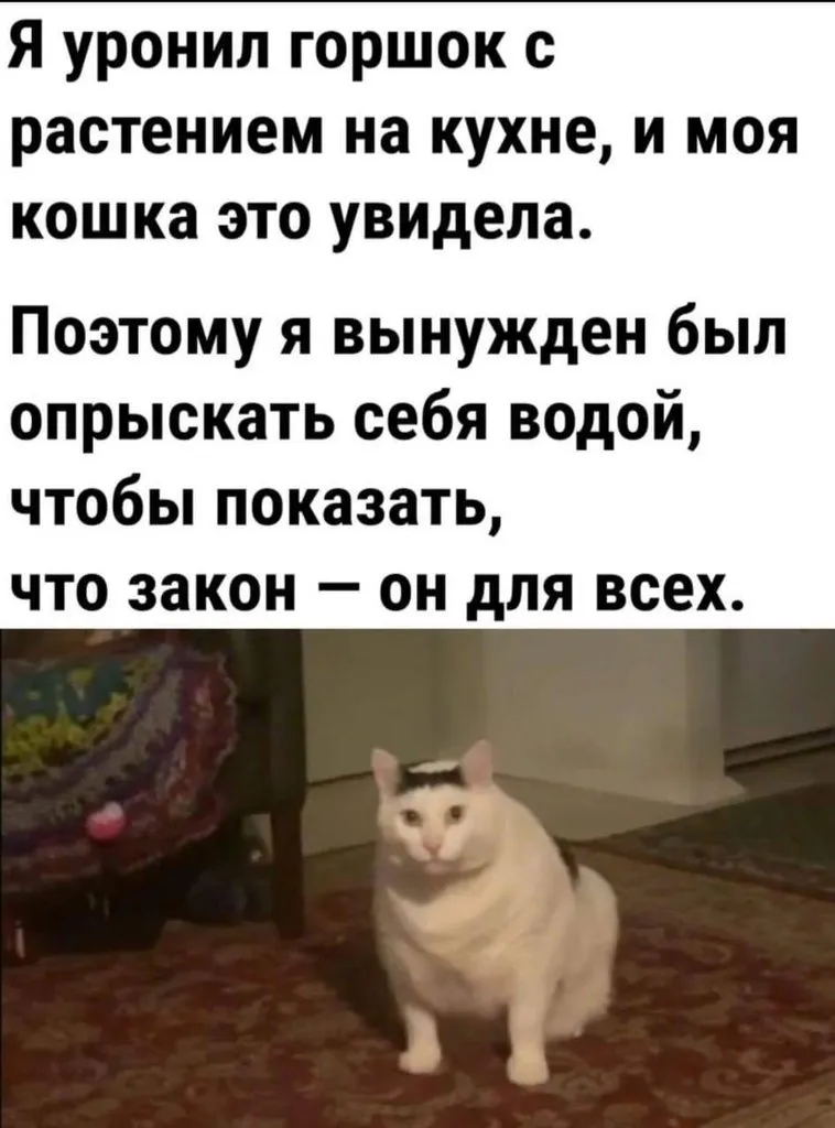 Посмеялся сам - поделись с другом!!!