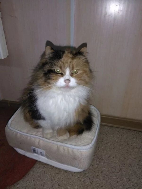 Рассказы для души
