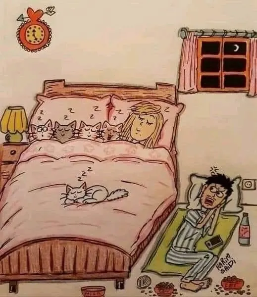 Кафе "У пани Сони"