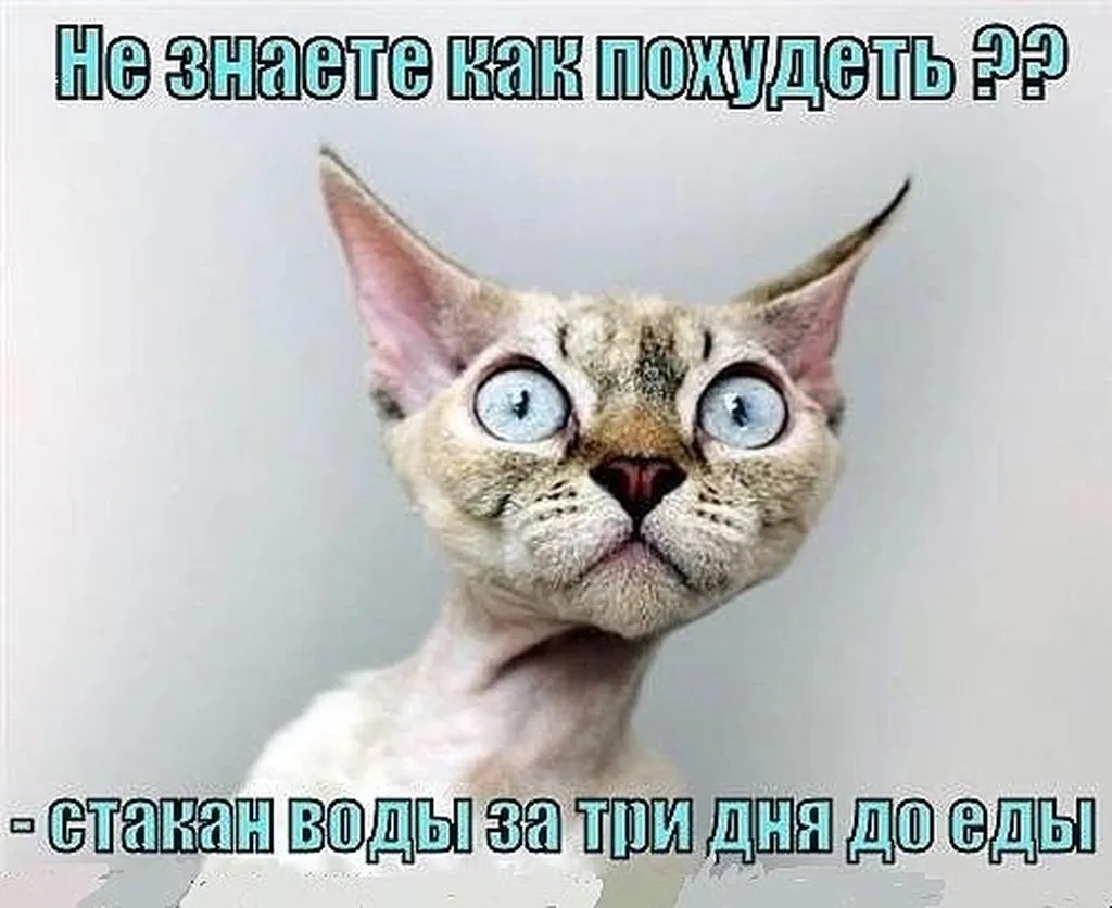 Посмеялся сам - поделись с другом!!!