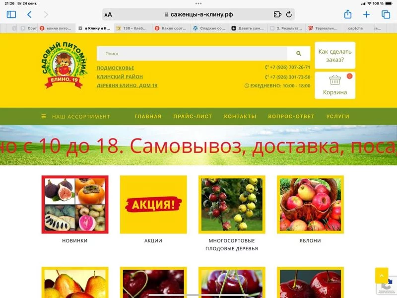Загородная жизнь - обустройство на своей земле во всем ее разнообразии