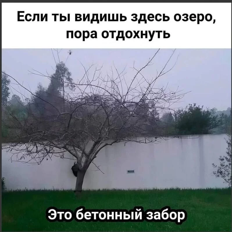 Позитивчик (фото, видео, рассказы для хорошего настроения)