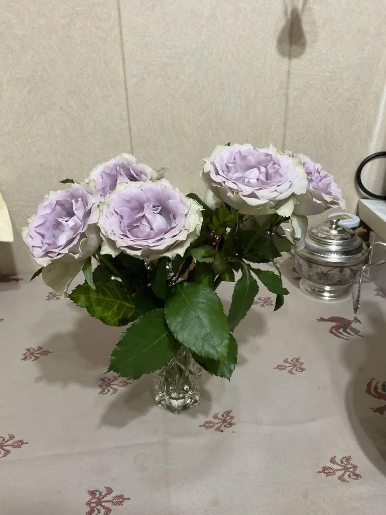 Tapтaлeтки & Ко