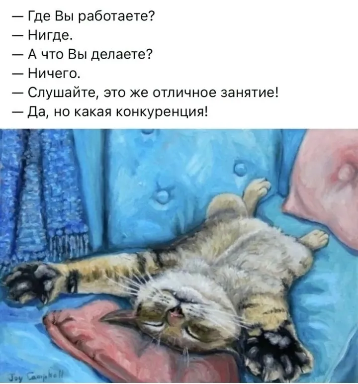 Кошичкина полиция