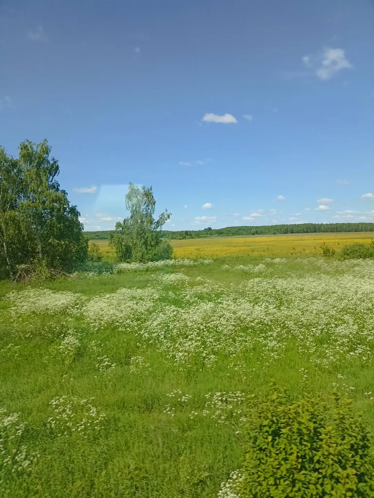 Фотонастроение