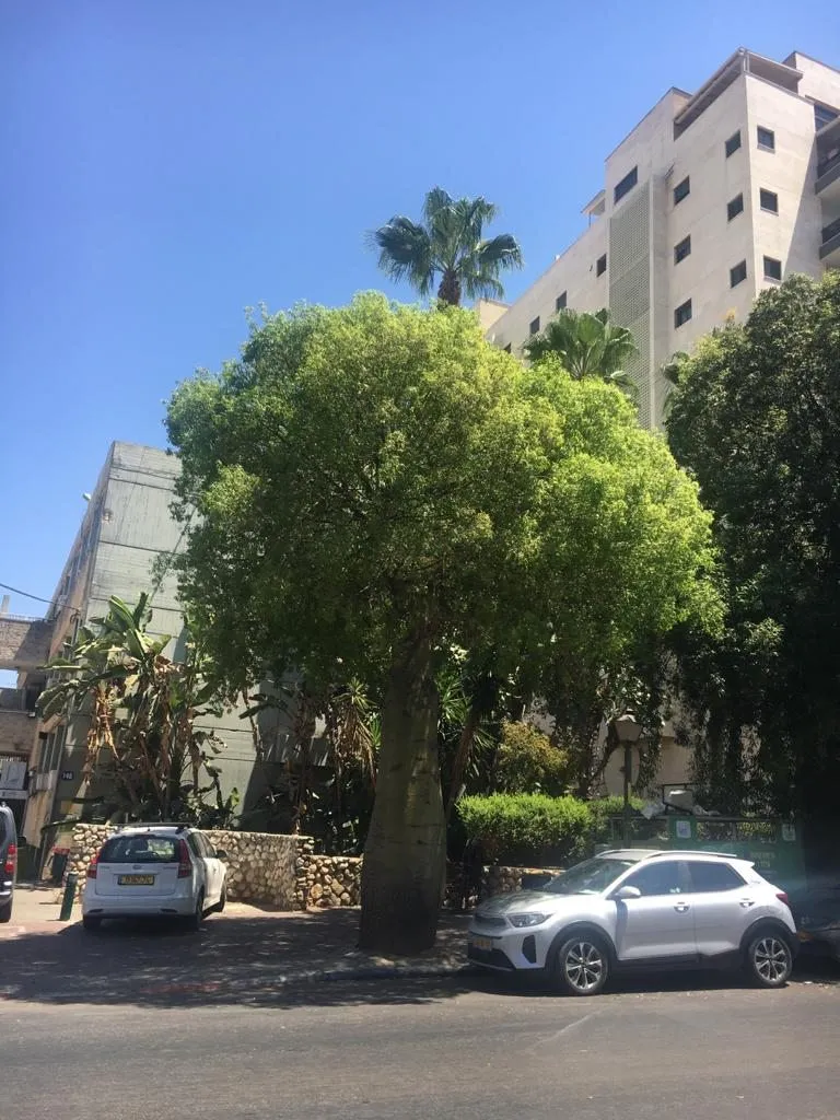 Чайная беседка