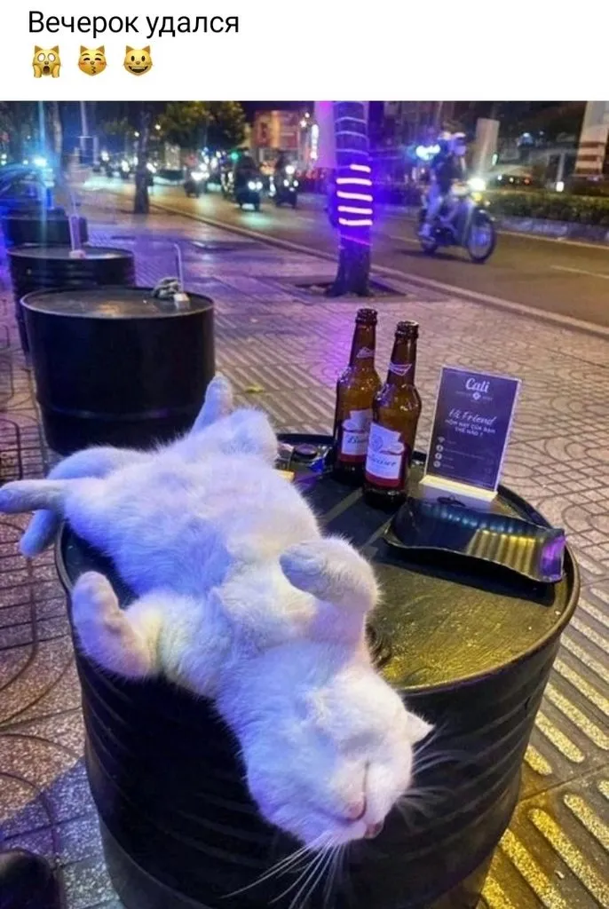 Кошичкина полиция
