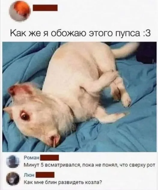 Посмеялся сам - поделись с другом!!!