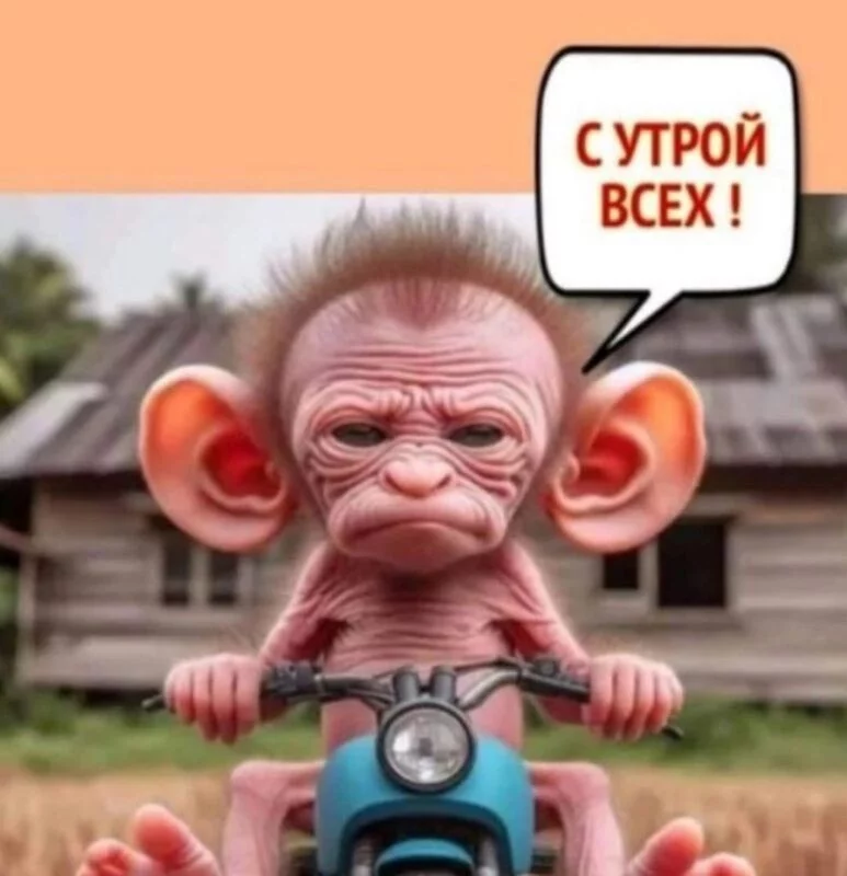 Кафе "У пани Сони"
