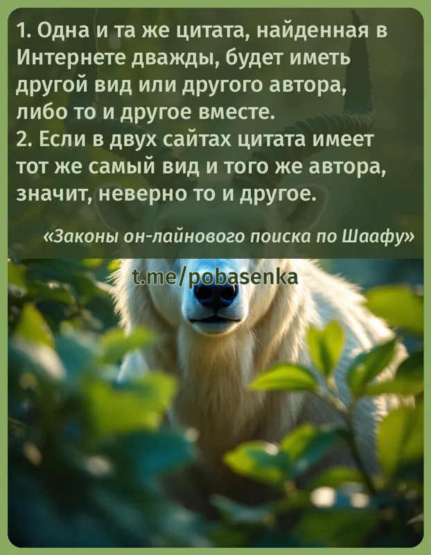 ". Одна и та же цитата, найденная в Интернете дважды, будет иметь другой вид или другого автора, либо то и другое вместе.....» height="550" width="550"