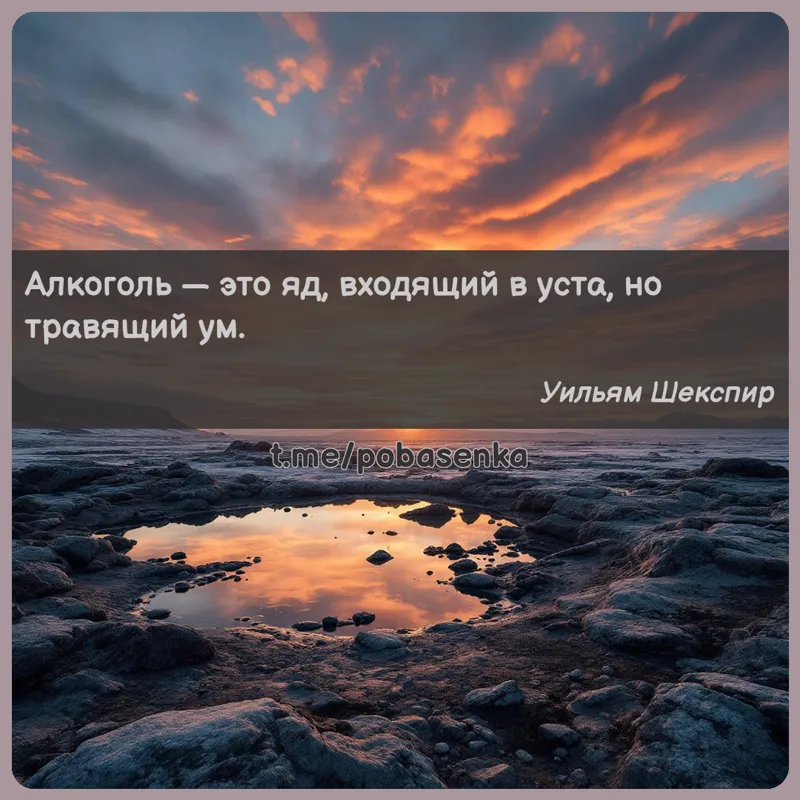 «Алкоголь — это яд, входящий в уста, но травящий...» height="550" width="550"