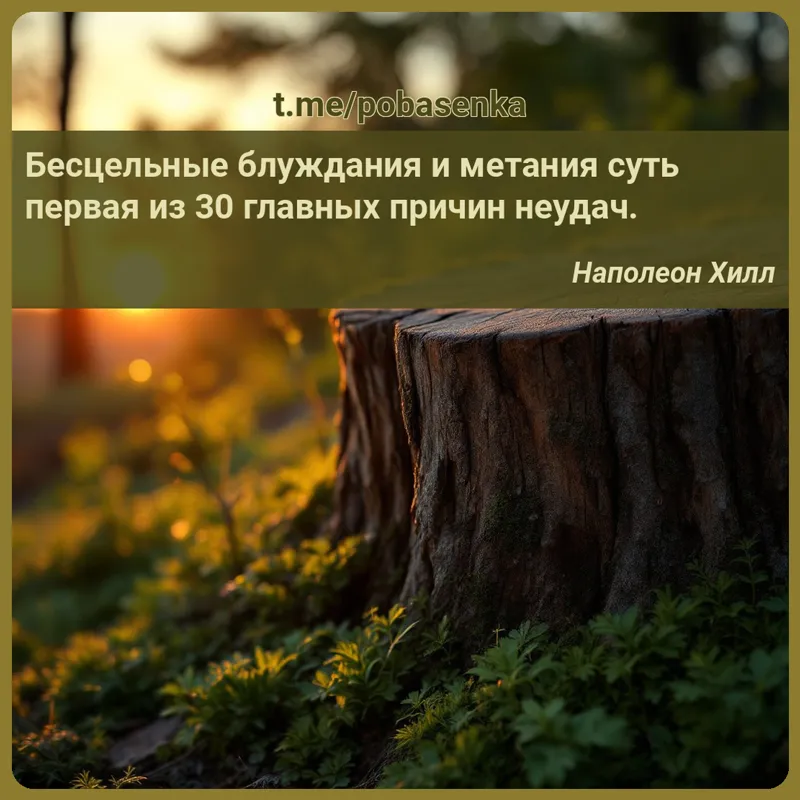 «Бесцельные блуждания и метания суть первая из главных причин...» height="550" width="550"