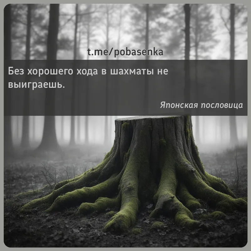 «Без хорошего хода в шахматы не...» height="550" width="550"