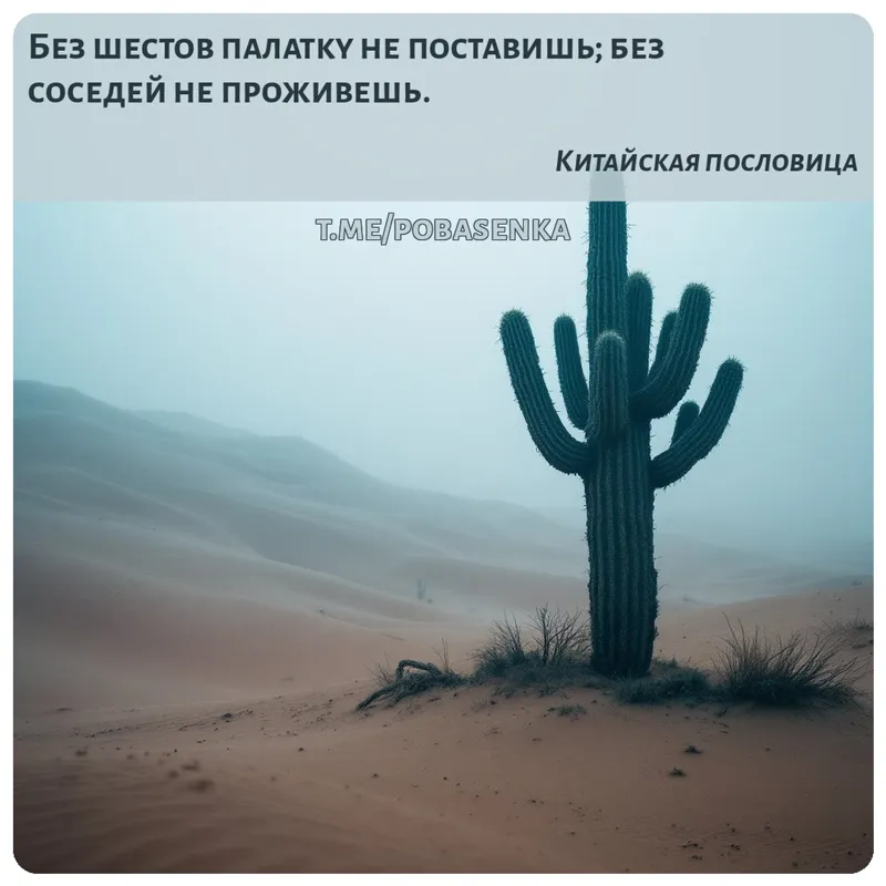 «Без шестов палатку не поставишь; без соседей не...» height="550" width="550"