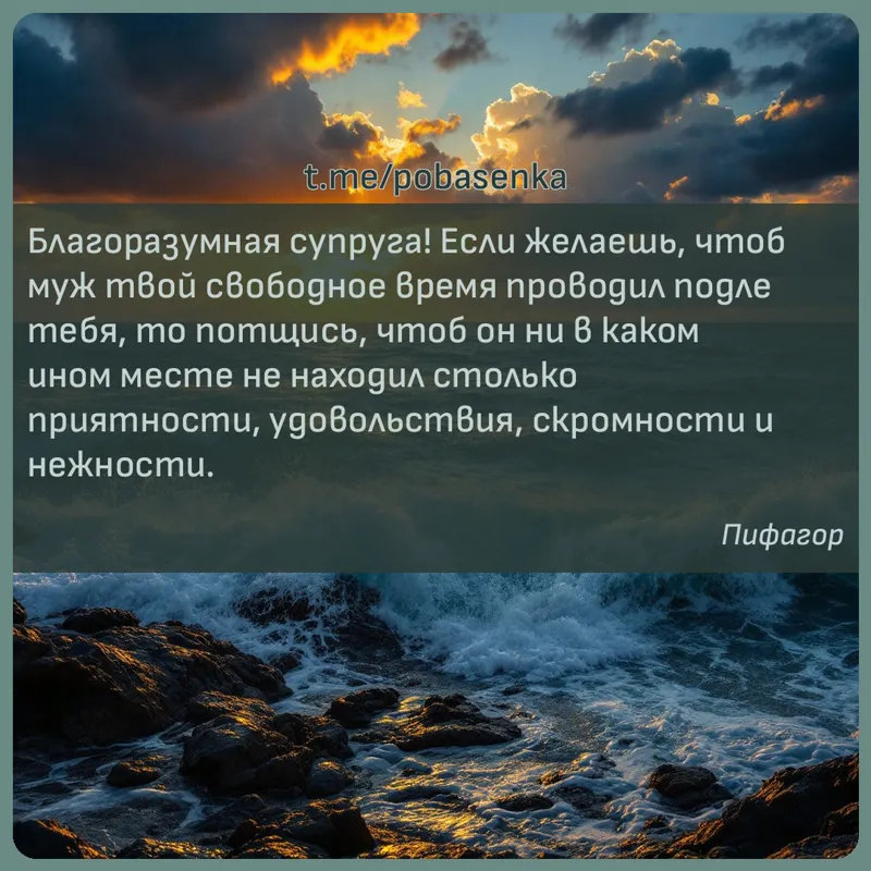 «Благоразумная супруга! Если желаешь, чтоб муж твой свободное время проводил подле тебя, то потщись, чтоб он ни в каком ином...» height="550" width="550"