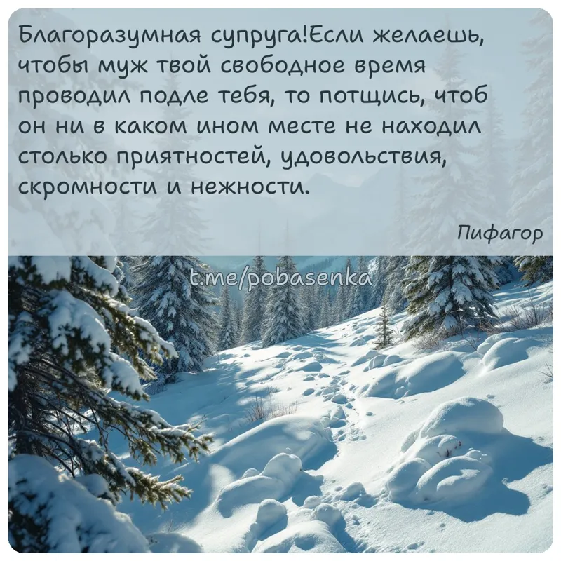 «Благоразумная супруга! Если желаешь, чтобы муж твой свободное время проводил подле тебя, то потщись, чтоб он ни в каком ином...» height="550" width="550"