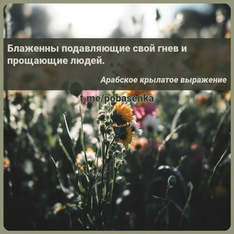 «Блаженны подавляющие свой гнев и прощающие...» height="550" width="550"