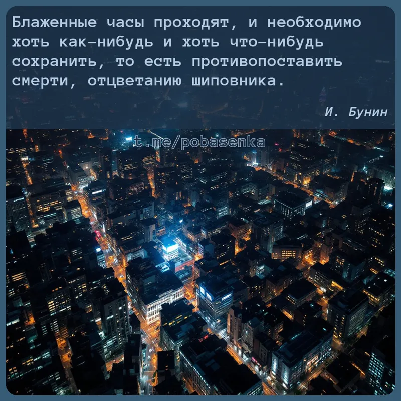 «Блаженные часы проходят, и необходимо хоть как нибудь и хоть что нибудь сохранить, то есть противопоставить смерти,...» height="550" width="550"