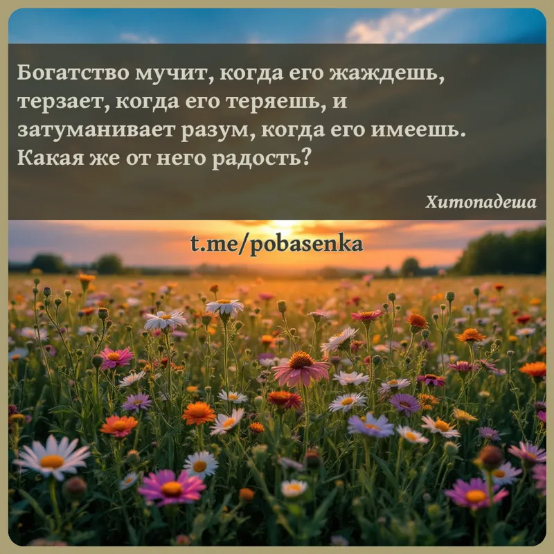«Богатство мучит, когда его жаждешь, терзает, когда его теряешь, и затуманивает разум, когда его имеешь. Какая же от него...» height="550" width="550"