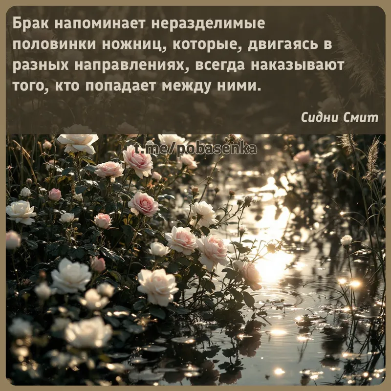«Брак напоминает неразделимые половинки ножниц, которые, двигаясь в разных направлениях, всегда наказывают того, кто попадает...» height="550" width="550"